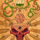 th_red_skull_lotus_vines